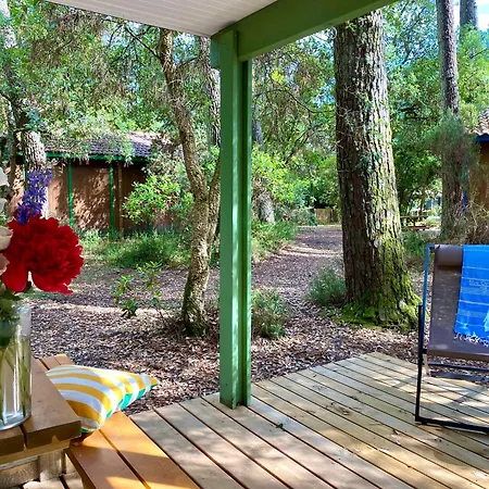 Espace Blue Ocean Kemping